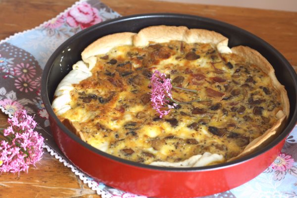Кракен клир ссылка