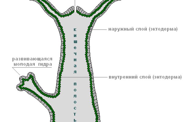 Кракен маркетплейс откуда взялся