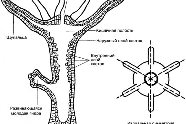 Kraken сайт вход