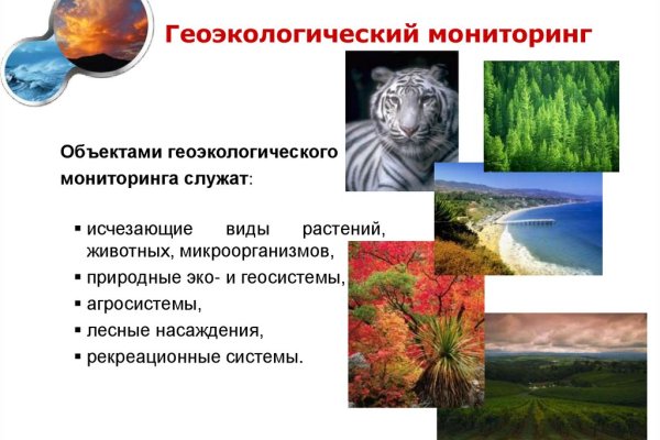 Кракен тгк