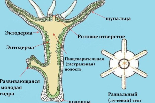 Как купить наркотик в кракен