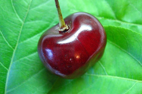 Сайты продаж наркотиков