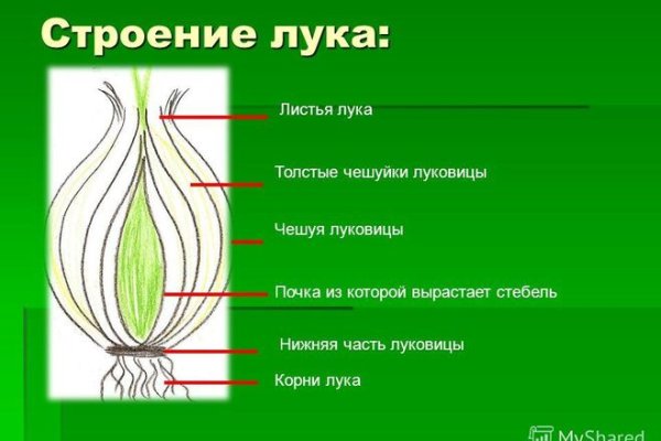 Кракен что можно купить