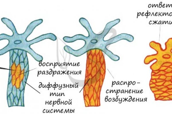 Кракен даркнет тор