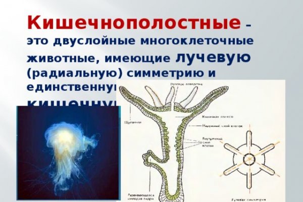 Зеркало кракен дарк