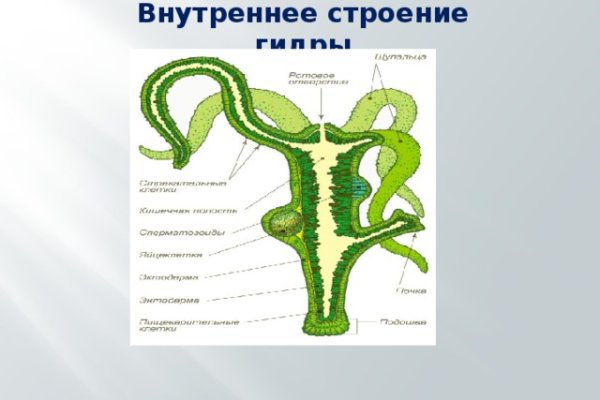 Кракен нет