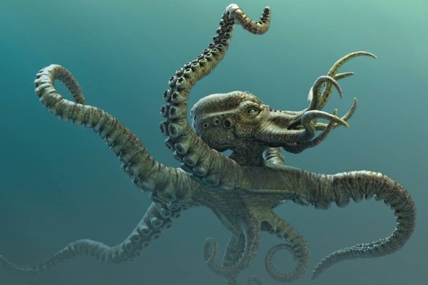 Kraken что это за сайт