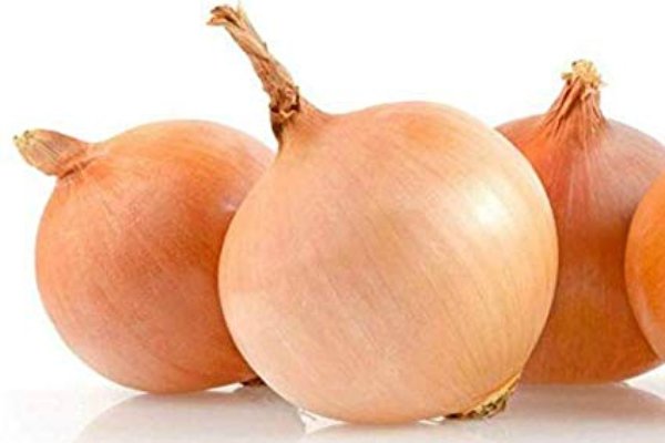Kraken onion link