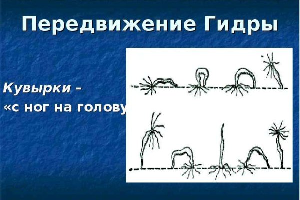 Ссылка на кракен