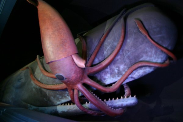 Kraken даркнет gigageek ru