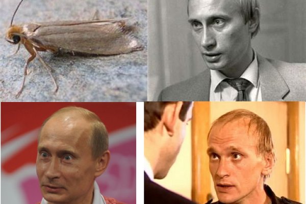 Кракен безопасный вход